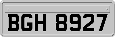 BGH8927
