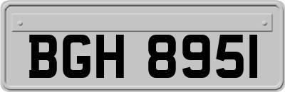 BGH8951