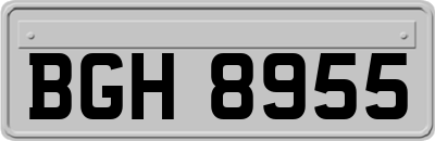 BGH8955