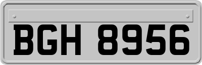 BGH8956