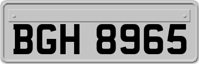 BGH8965