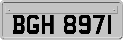 BGH8971