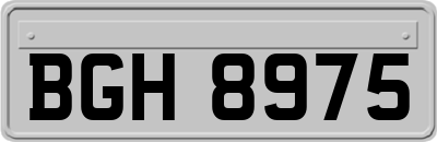 BGH8975