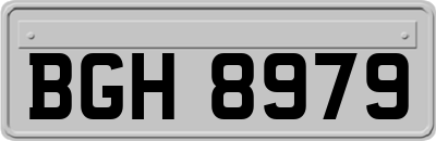 BGH8979