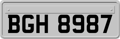 BGH8987