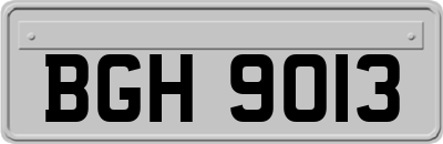 BGH9013