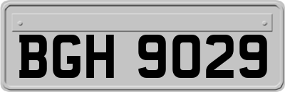 BGH9029