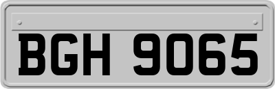 BGH9065