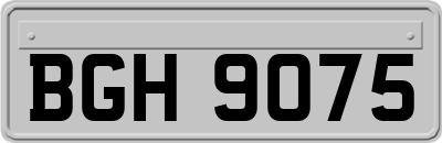 BGH9075