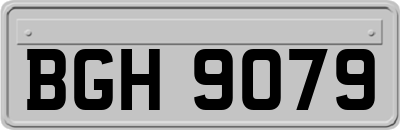 BGH9079