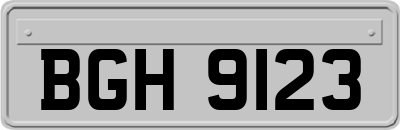 BGH9123
