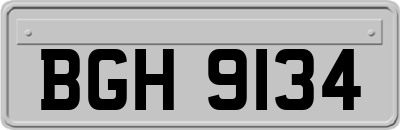 BGH9134