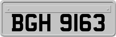 BGH9163