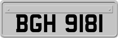 BGH9181