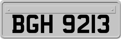 BGH9213