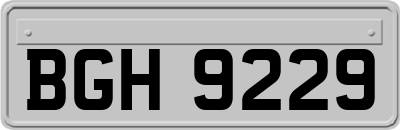 BGH9229