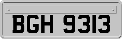 BGH9313