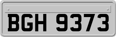 BGH9373