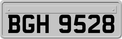 BGH9528