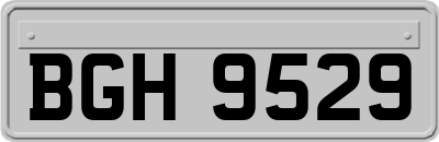BGH9529