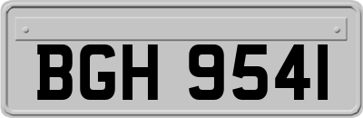 BGH9541