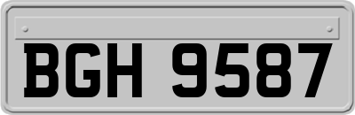 BGH9587