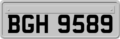 BGH9589