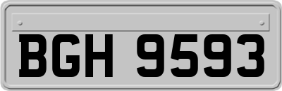 BGH9593