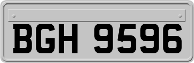 BGH9596