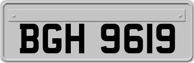 BGH9619