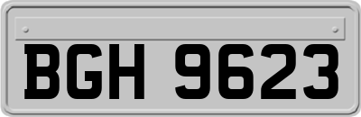 BGH9623