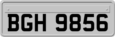 BGH9856