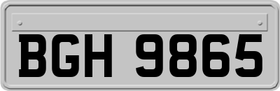 BGH9865