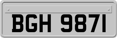 BGH9871