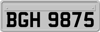 BGH9875