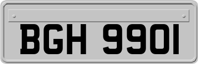 BGH9901