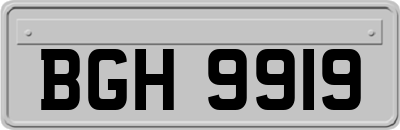 BGH9919