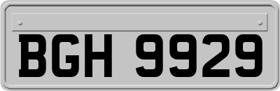 BGH9929