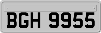 BGH9955