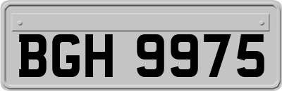 BGH9975