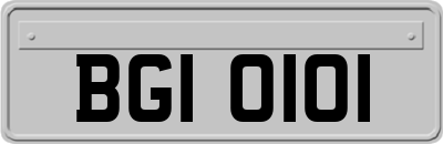 BGI0101