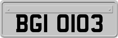 BGI0103