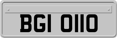 BGI0110