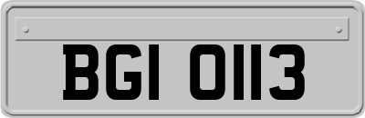 BGI0113