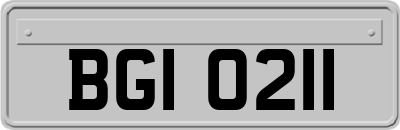 BGI0211