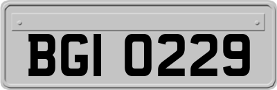 BGI0229