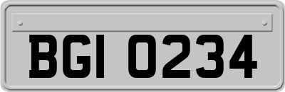BGI0234