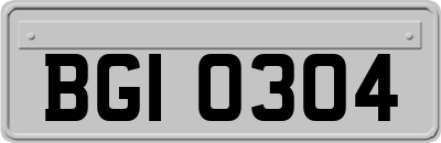 BGI0304