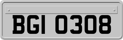 BGI0308