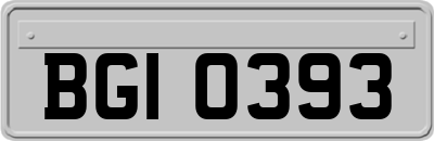 BGI0393